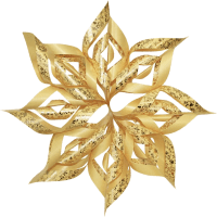 Designsterne Paper Stars Ornaments 32 Blatt 15x15cm Champagner mit goldenen Blumenranken